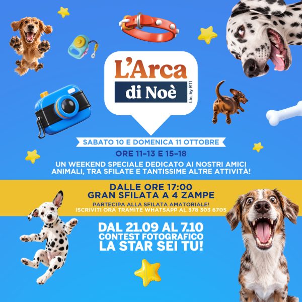 Arca di Noè